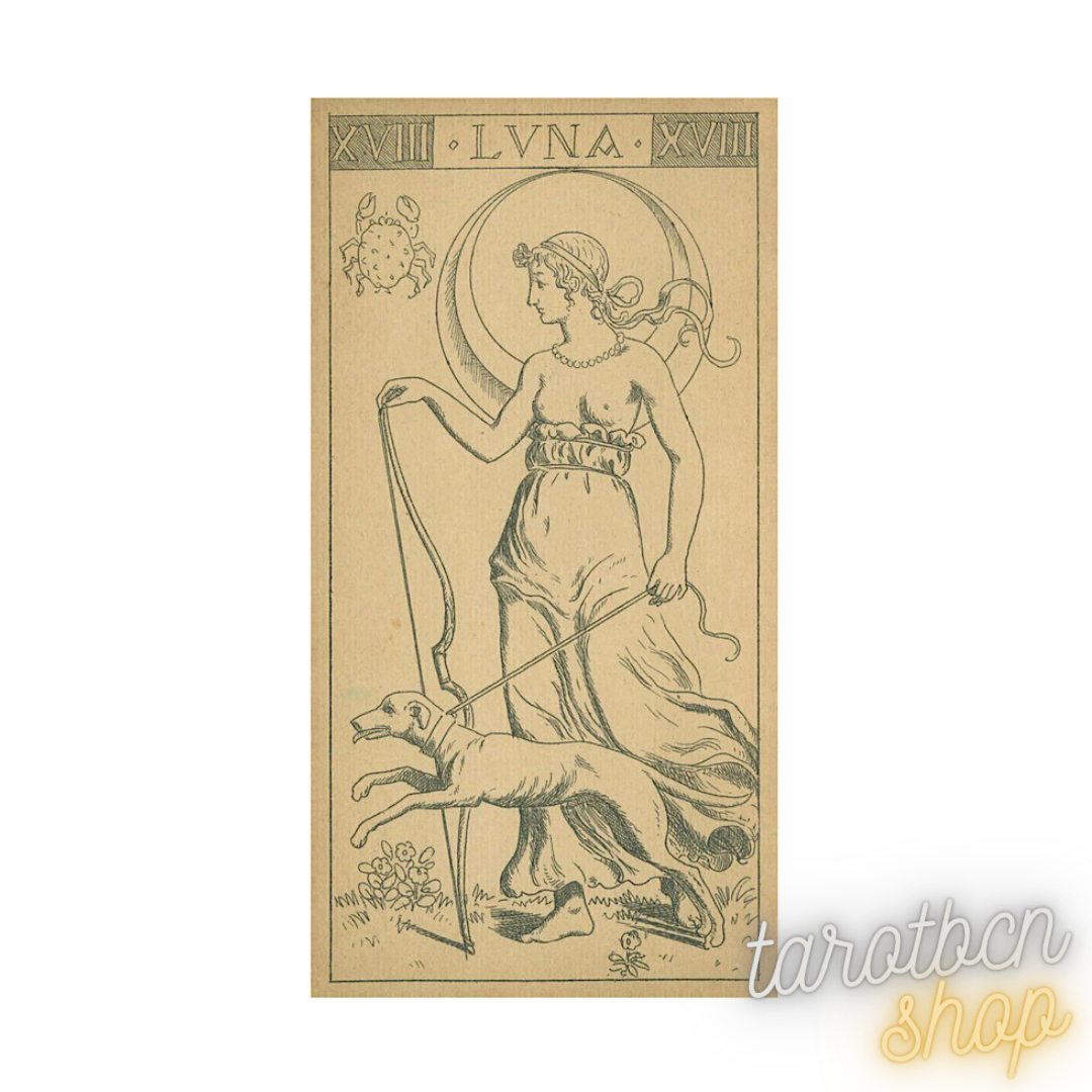 Tarot Naibi Di Giovanni Vacchetta